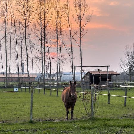 Agriturismo Al Botteniga Villa เตรวิโซ ภายนอก รูปภาพ