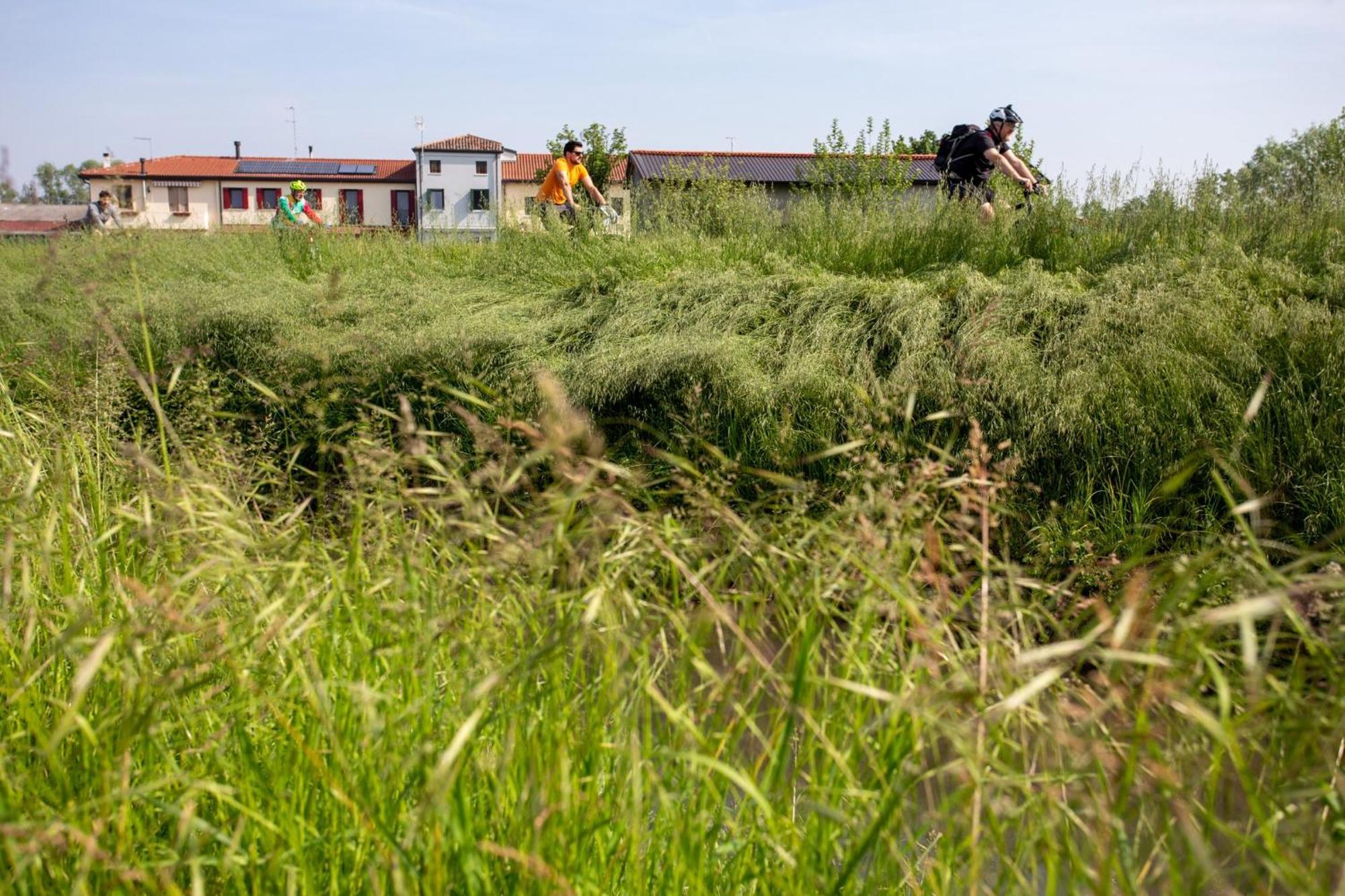 Agriturismo Al Botteniga เตรวิโซ ภายนอก รูปภาพ