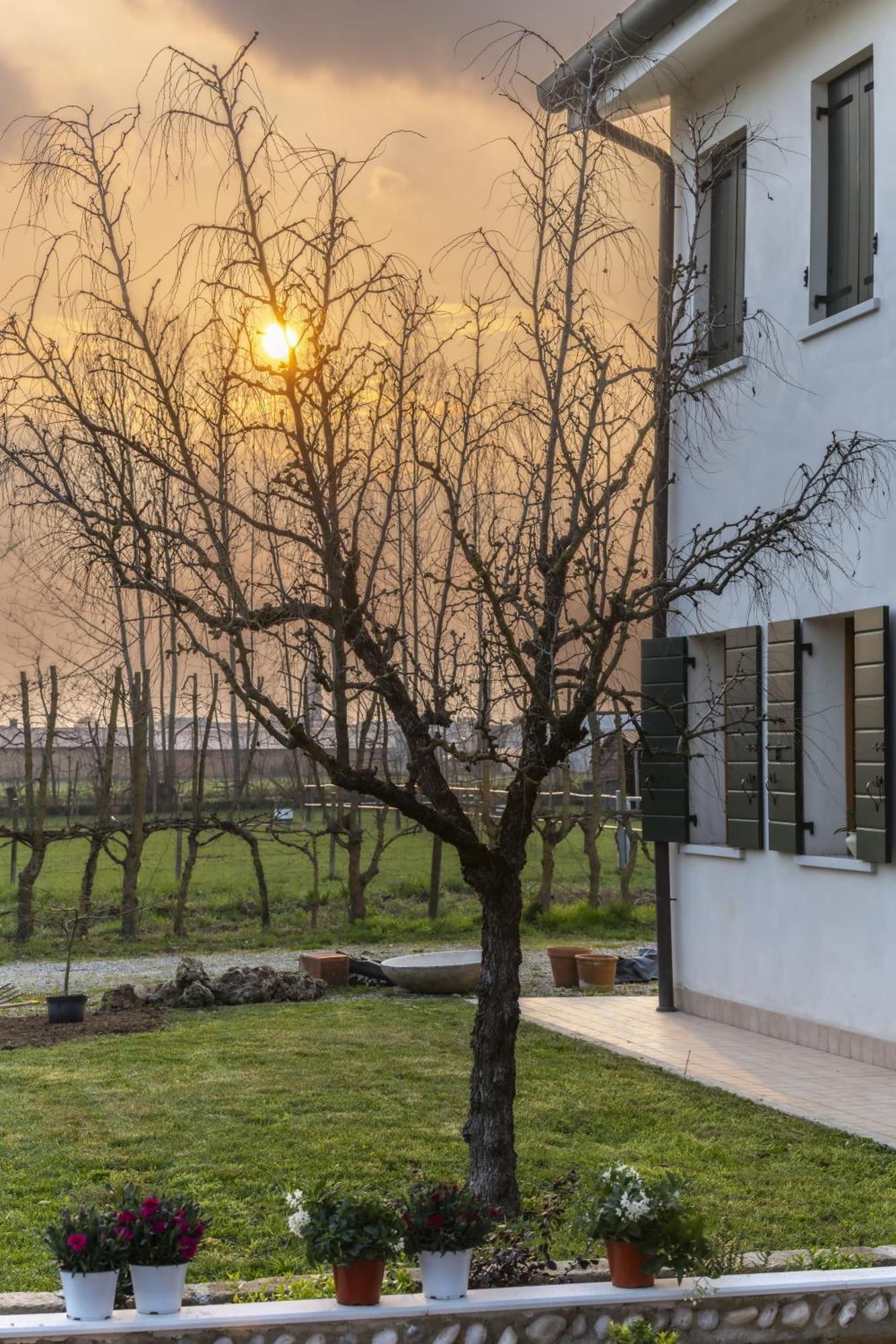 Agriturismo Al Botteniga เตรวิโซ ภายนอก รูปภาพ