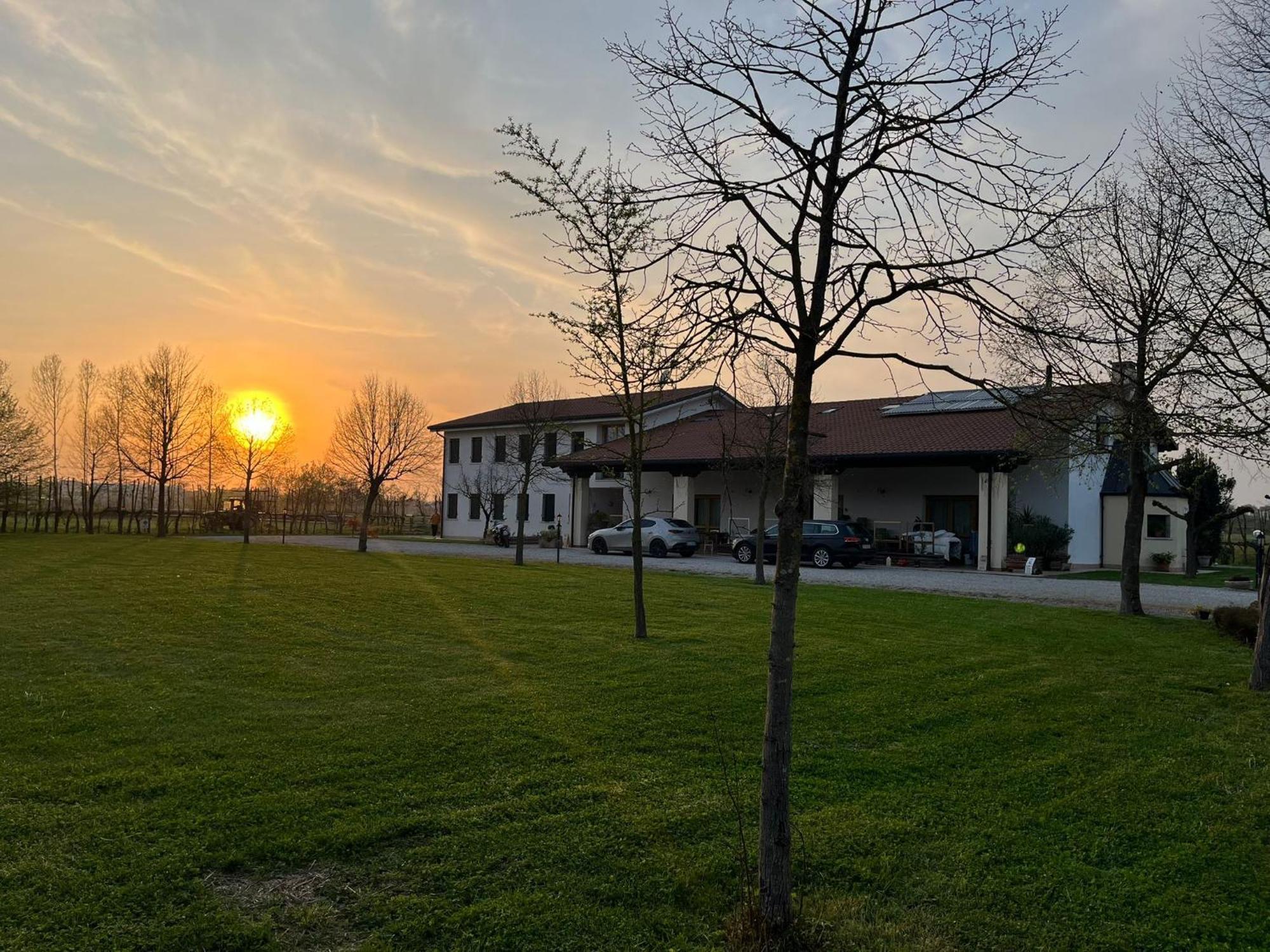 Agriturismo Al Botteniga เตรวิโซ ภายนอก รูปภาพ