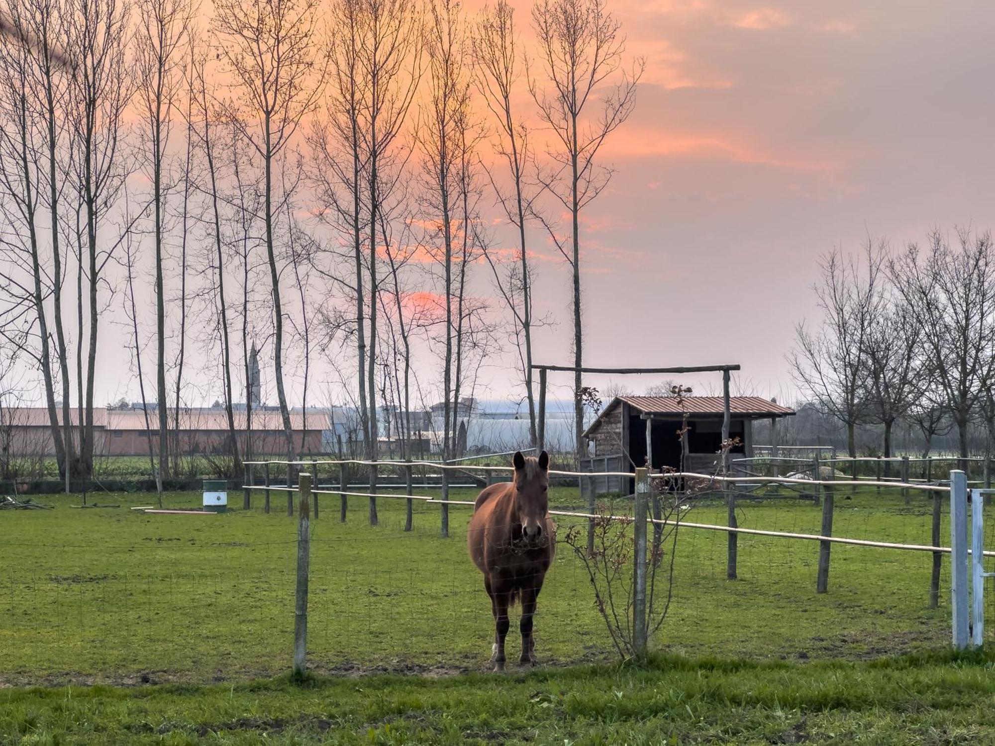 Agriturismo Al Botteniga เตรวิโซ ภายนอก รูปภาพ