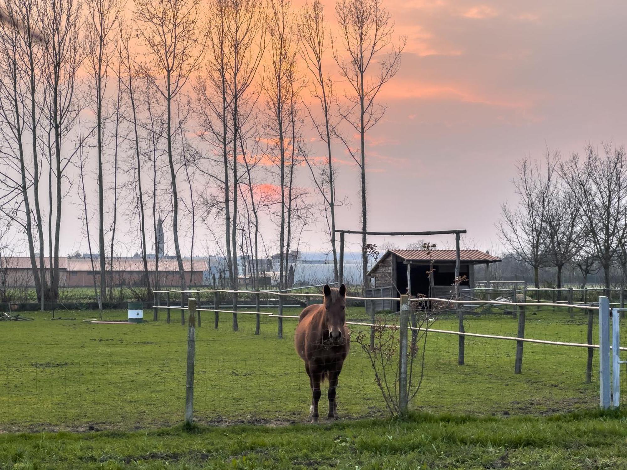 Agriturismo Al Botteniga Villa เตรวิโซ ภายนอก รูปภาพ